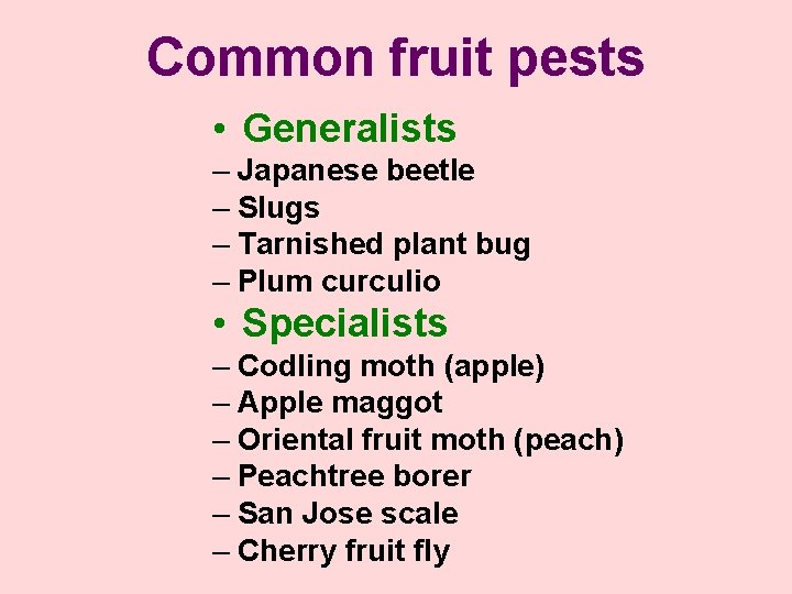 Common fruit pests • Generalists – Japanese beetle – Slugs – Tarnished plant bug