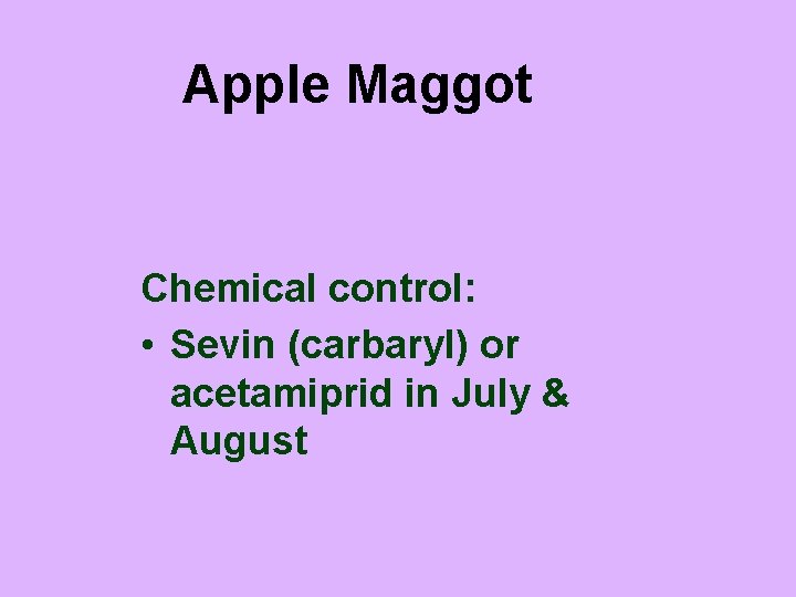 Apple Maggot Chemical control: • Sevin (carbaryl) or acetamiprid in July & August 
