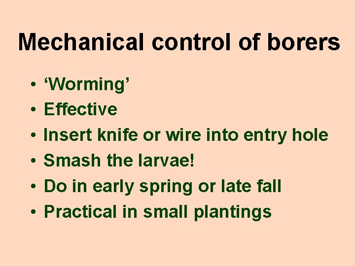 Mechanical control of borers • • • ‘Worming’ Effective Insert knife or wire into