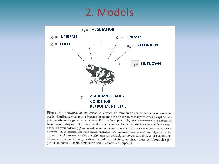 2. Models VEGETATION RAINFALL ILNESSES FOOD PREDATION UNKNOWN ABUNDANCE, BODY CONDITION, RECRUITMENT, ETC. .