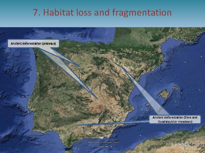 7. Habitat loss and fragmentation Ancient deforestation (plateaus) Ancient deforestation (Ebro and Guadalquivier meadows)