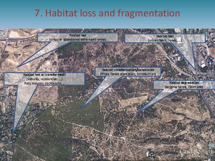 7. Habitat loss and fragmentation Habitat lost (crops or abandoned deforested areas) Habitat lost