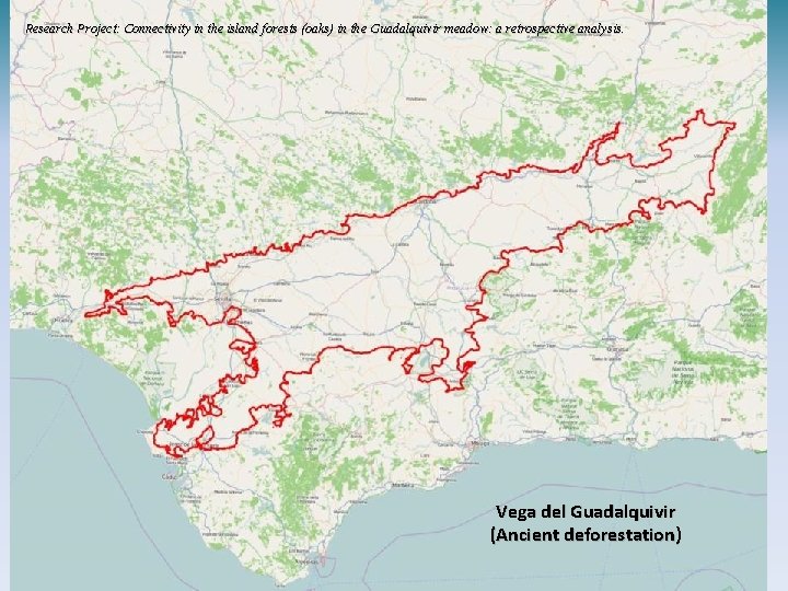 Research Project: Connectivity in the island forests (oaks) in the Guadalquivir meadow: a retrospective