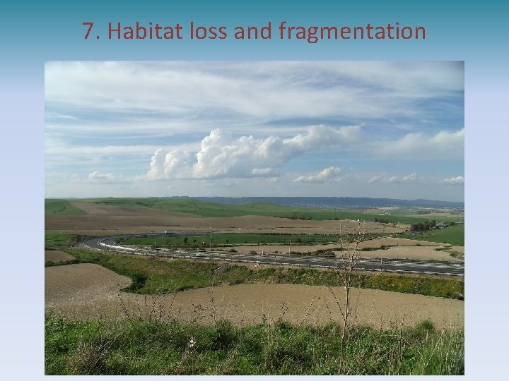 7. Habitat loss and fragmentation 