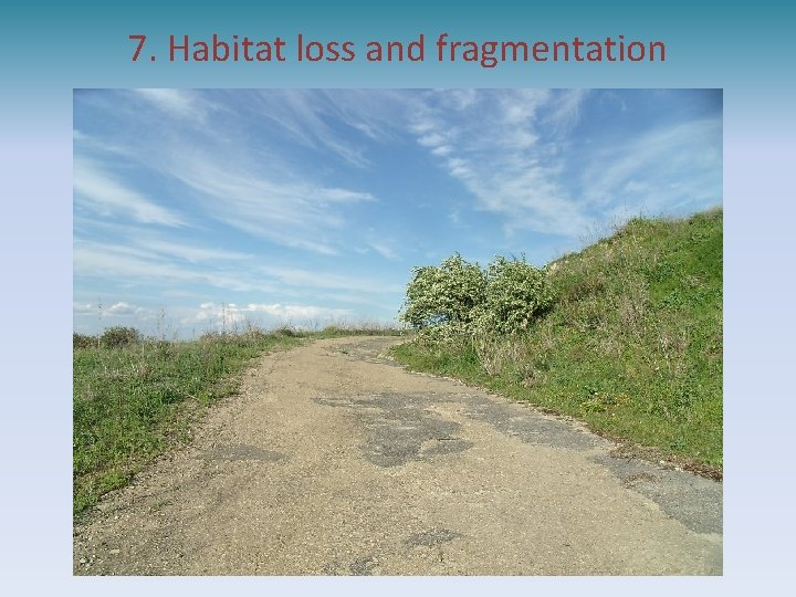 7. Habitat loss and fragmentation 