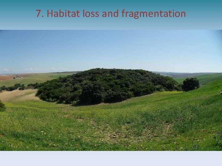 7. Habitat loss and fragmentation 