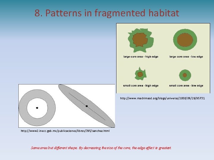8. Patterns in fragmented habitat http: //www. madrimasd. org/blogs/universo/2008/06/29/95731 http: //www 2. inecc. gob.