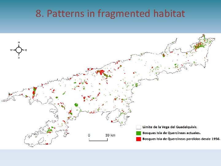 8. Patterns in fragmented habitat 