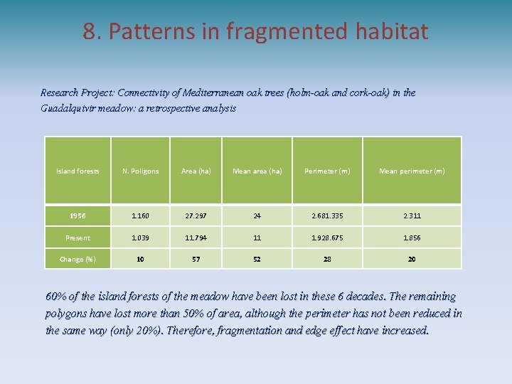 8. Patterns in fragmented habitat Research Project: Connectivity of Mediterranean oak trees (holm-oak and