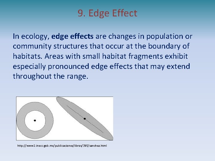 9. Edge Effect In ecology, edge effects are changes in population or community structures