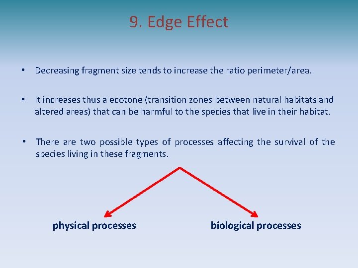 9. Edge Effect • Decreasing fragment size tends to increase the ratio perimeter/area. •