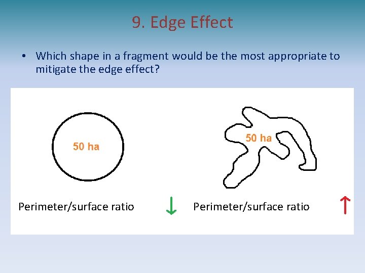 9. Edge Effect • Which shape in a fragment would be the most appropriate