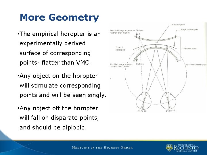 More Geometry • The empirical horopter is an experimentally derived surface of corresponding points-