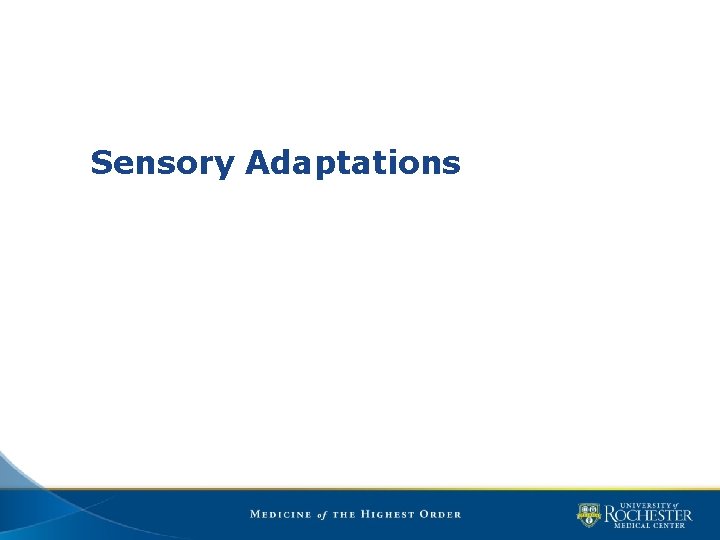Sensory Adaptations 