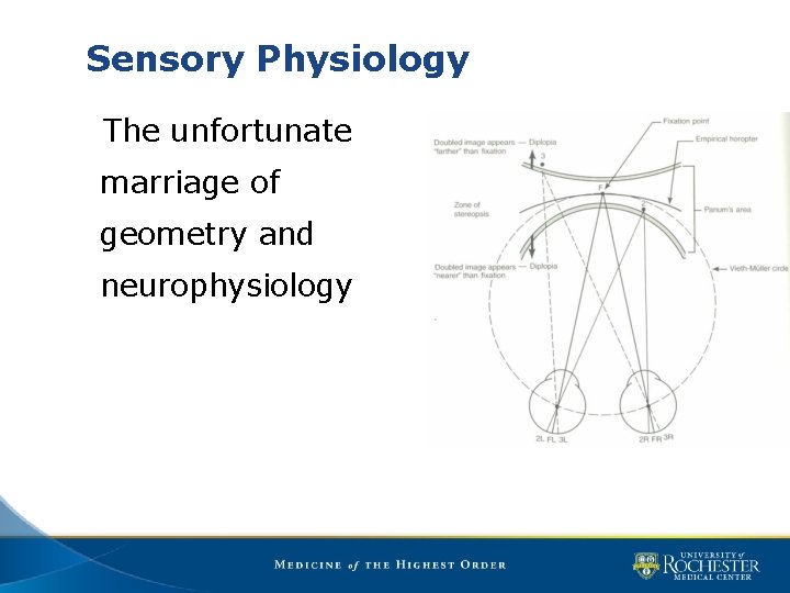 Sensory Physiology The unfortunate marriage of geometry and neurophysiology 