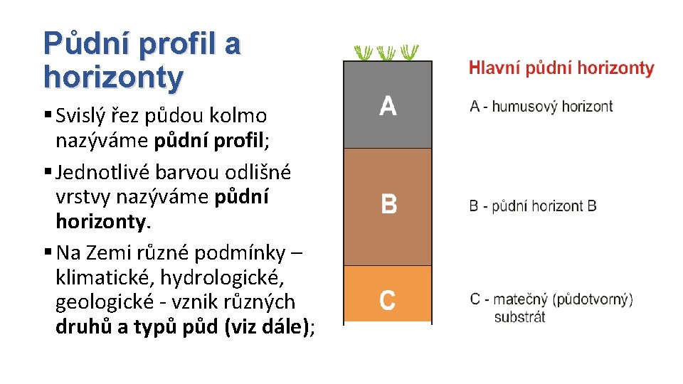 Půdní profil a horizonty § Svislý řez půdou kolmo nazýváme půdní profil; § Jednotlivé