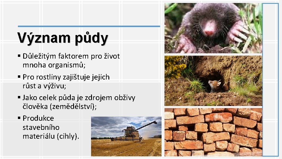 Význam půdy § Důležitým faktorem pro život mnoha organismů; § Pro rostliny zajištuje jejich