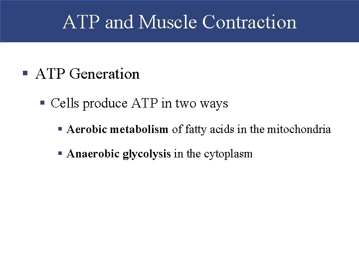 ATP and Muscle Contraction § ATP Generation § Cells produce ATP in two ways ATP and Muscle Contraction § ATP Generation § Cells produce ATP in two ways