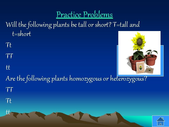 Practice Problems Will the following plants be tall or short? T=tall and t=short Tt