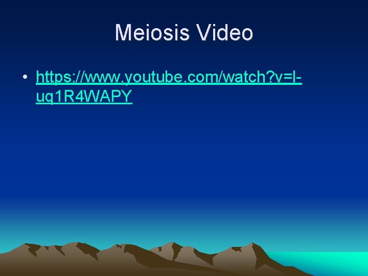 Meiosis Video • https: //www. youtube. com/watch? v=luq 1 R 4 WAPY 