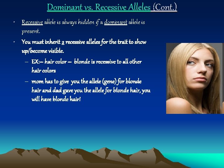 Dominant vs. Recessive Alleles (Cont. ) • Recessive allele is always hidden if a