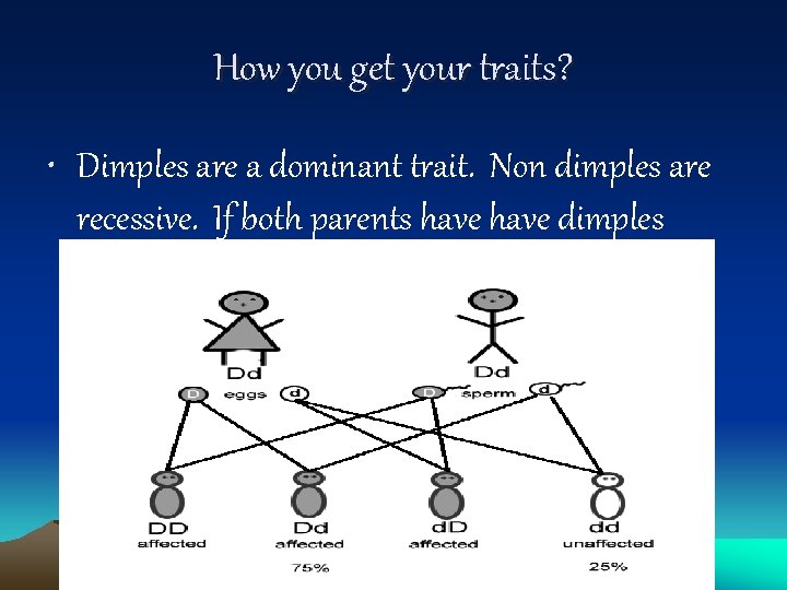 How you get your traits? • Dimples are a dominant trait. Non dimples are