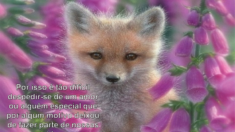 Por isso é tão difícil despedir-se de um amor ou alguém especial que por