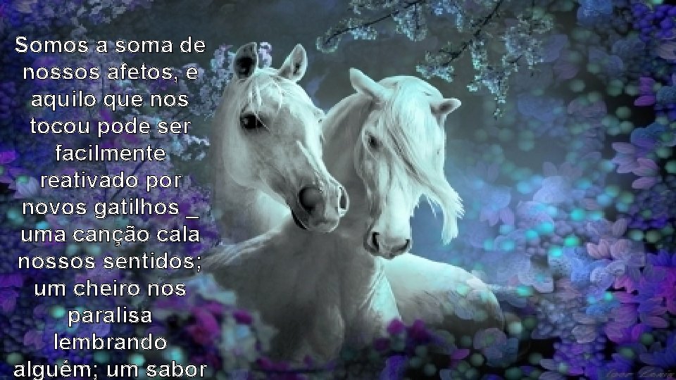 Somos a soma de nossos afetos, e aquilo que nos tocou pode ser facilmente