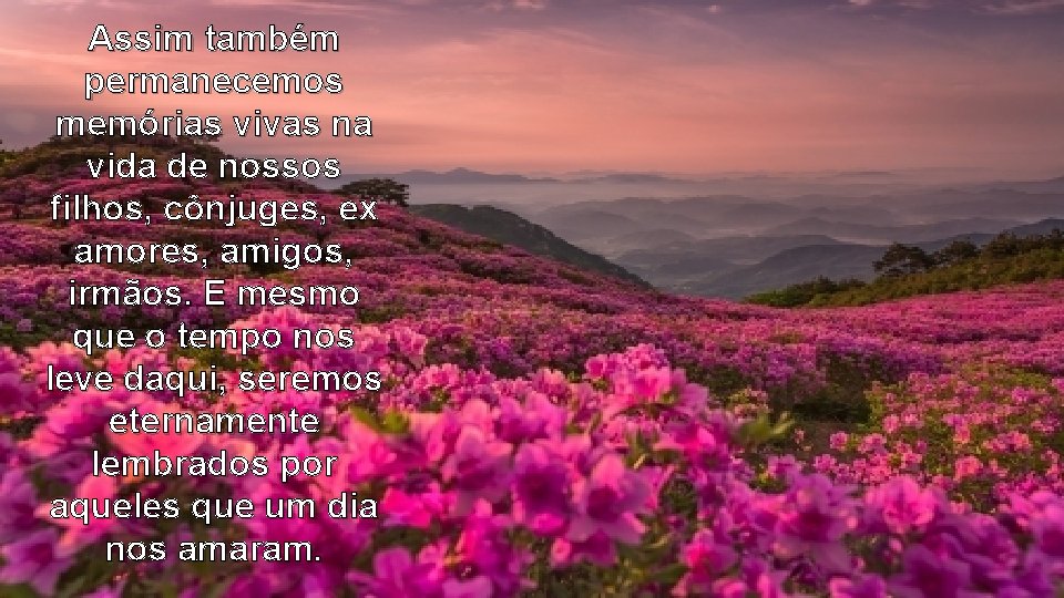 Assim também permanecemos memórias vivas na vida de nossos filhos, cônjuges, ex amores, amigos,