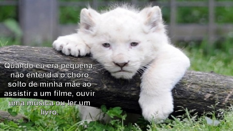 Quando eu era pequena, não entendia o choro solto de minha mãe ao assistir