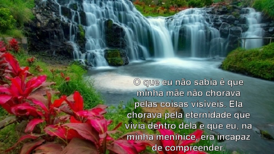 O que eu não sabia é que minha mãe não chorava pelas coisas visíveis.