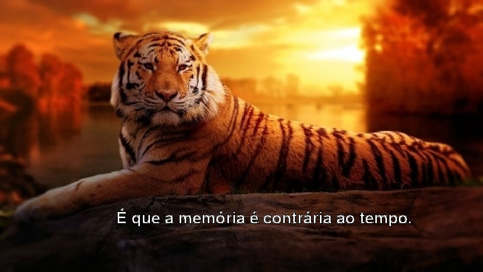 É que a memória é contrária ao tempo. 