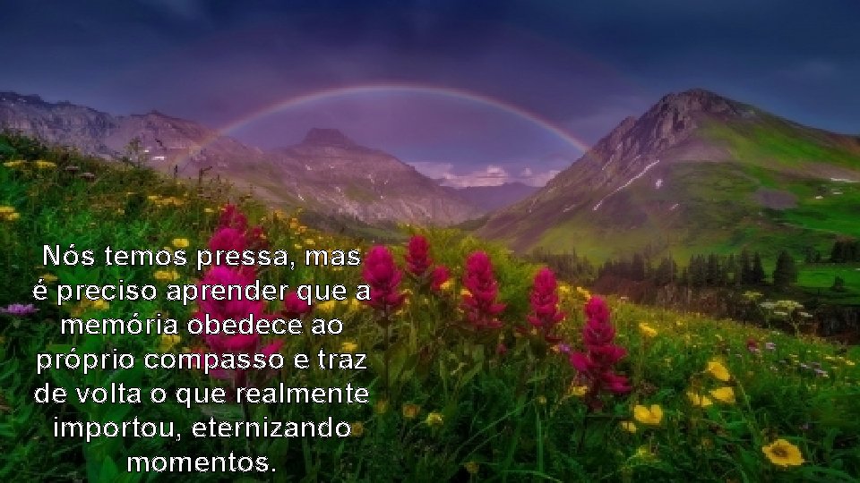 Nós temos pressa, mas é preciso aprender que a memória obedece ao próprio compasso
