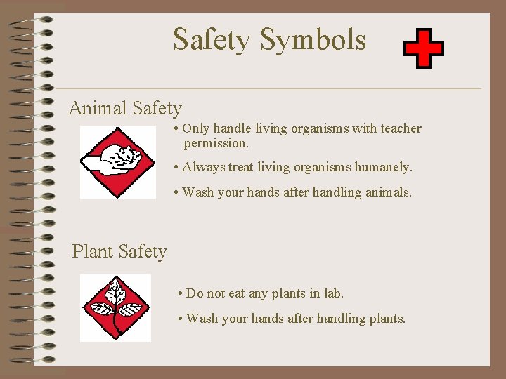 Safety Symbols Animal Safety • Only handle living organisms with teacher permission. • Always