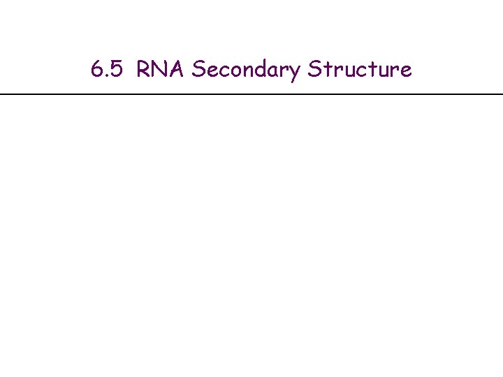 6. 5 RNA Secondary Structure 