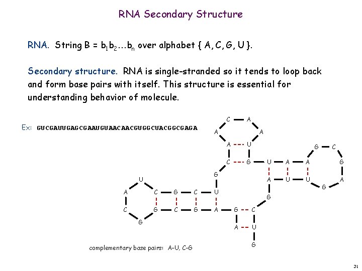 RNA Secondary Structure RNA. String B = b 1 b 2 bn over alphabet