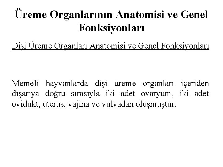 Üreme Organlarının Anatomisi ve Genel Fonksiyonları Dişi Üreme Organları Anatomisi ve Genel Fonksiyonları Memeli