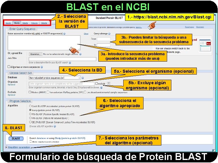 BLAST en el NCBI 2. - Selecciona la versión de BLAST 1. - https: