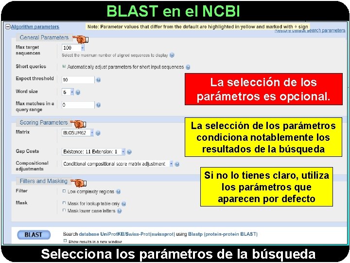 BLAST en el NCBI La selección de los parámetros es opcional. La selección de