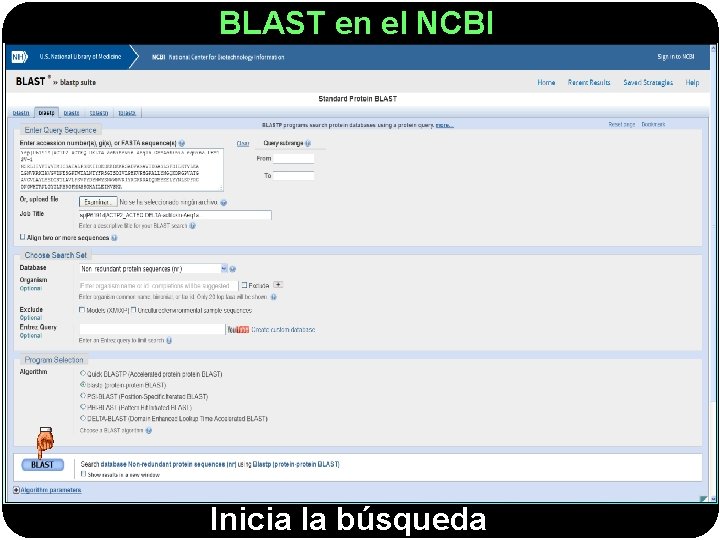 BLAST en el NCBI Inicia la búsqueda 