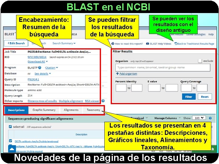 BLAST en el NCBI Encabezamiento: Resumen de la búsqueda Se pueden filtrar los resultados