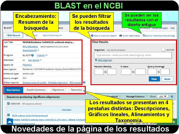 BLAST en el NCBI Encabezamiento: Resumen de la búsqueda Se pueden filtrar los resultados