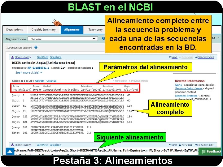 BLAST en el NCBI Alineamiento completo entre la secuencia problema y cada una de