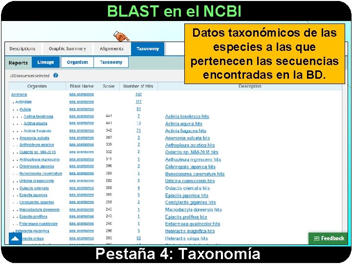 BLAST en el NCBI Datos taxonómicos de las especies a las que pertenecen las