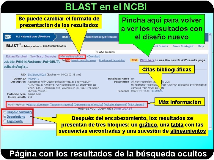 BLAST en el NCBI Se puede cambiar el formato de presentación de los resultados