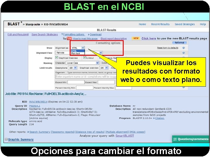 BLAST en el NCBI Puedes visualizar los resultados con formato web o como texto