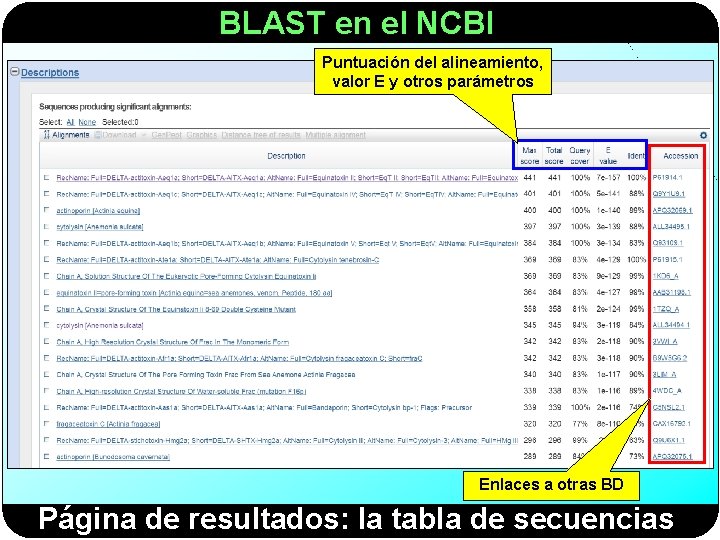 BLAST en el NCBI Puntuación del alineamiento, valor E y otros parámetros Enlaces a