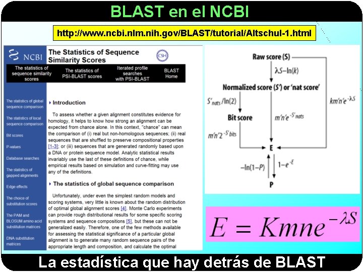 BLAST en el NCBI http: //www. ncbi. nlm. nih. gov/BLAST/tutorial/Altschul-1. html La estadística que