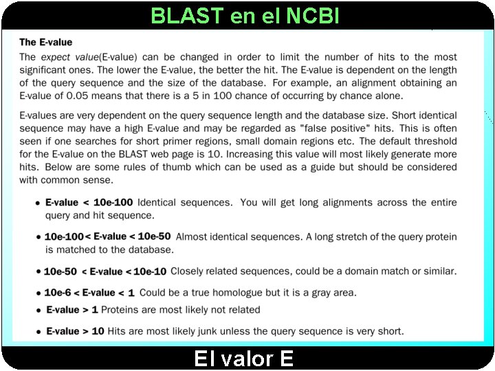 BLAST en el NCBI El valor E 