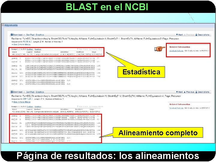 BLAST en el NCBI Estadística Alineamiento completo Página de resultados: los alineamientos 